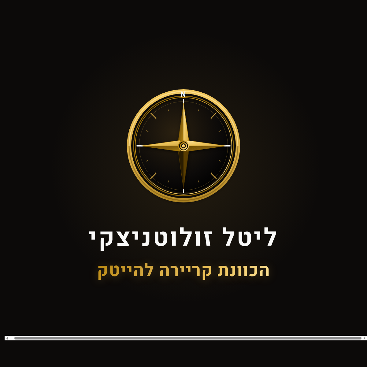 ליטל זולוטניצקי · הכוונת קריירה להייטק